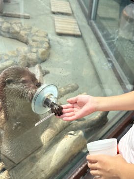 横浜・八景島シーパラダイスに投稿された画像（2025/9/22）