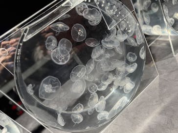 AOAO SAPPOROに投稿された画像（2025/9/22）