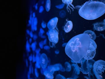 AOAO SAPPOROに投稿された画像（2025/9/22）