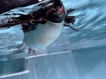 AOAO SAPPOROに投稿された画像（2025/9/22）