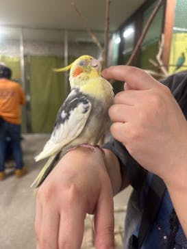 アニタッチ 東京ドームシティに投稿された画像（2025/9/22）