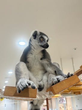 アニタッチ 東京ドームシティに投稿された画像（2025/9/22）