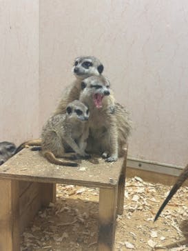 アニタッチ 東京ドームシティに投稿された画像（2025/9/22）