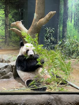 恩賜上野動物園に投稿された画像（2025/9/22）