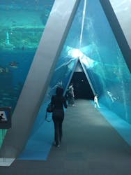 アクアマリンふくしまに投稿された画像（2025/9/22）