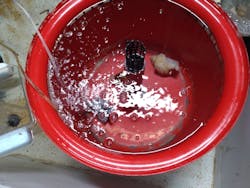 アクアマリンふくしまに投稿された画像（2025/9/22）