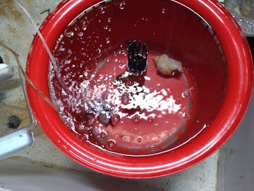 アクアマリンふくしまに投稿された画像（2025/9/22）