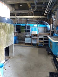 アクアマリンふくしまに投稿された画像（2025/9/22）