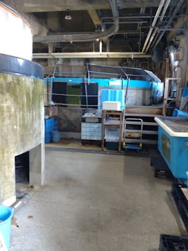 アクアマリンふくしまに投稿された画像（2025/9/22）