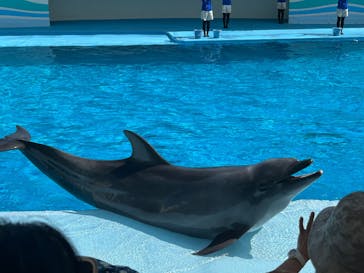 南知多ビーチランド＆南知多おもちゃ王国に投稿された画像（2025/9/22）