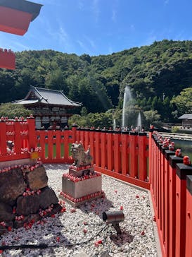 勝尾寺に投稿された画像（2025/9/22）