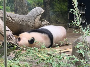 恩賜上野動物園に投稿された画像（2025/9/22）