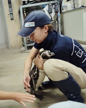 城崎マリンワールドに投稿された画像（2025/9/22）