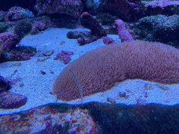 サンシャイン水族館に投稿された画像（2025/9/22）