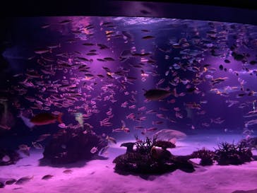 サンシャイン水族館に投稿された画像（2025/9/22）