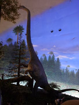 福井県立恐竜博物館に投稿された画像（2025/9/22）