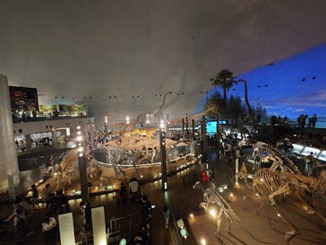 福井県立恐竜博物館に投稿された画像（2025/9/22）