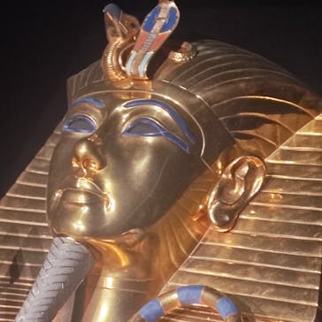 MYSTERY OF TUTANKHAMEN 体感型古代エジプト展に投稿された画像（2025/9/22）