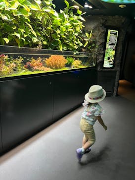 サンシャイン水族館に投稿された画像（2025/9/22）