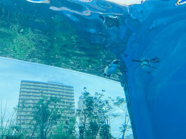 サンシャイン水族館に投稿された画像（2025/9/22）