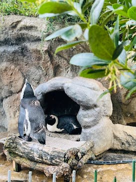 サンシャイン水族館に投稿された画像（2025/9/22）