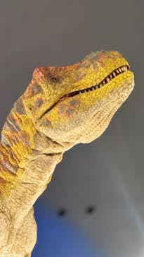 福井県立恐竜博物館に投稿された画像（2025/9/22）