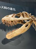 福井県立恐竜博物館に投稿された画像（2025/9/22）
