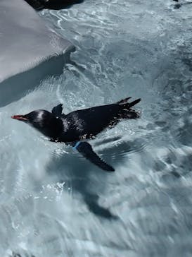 AOAO SAPPOROに投稿された画像（2025/9/22）