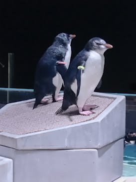 AOAO SAPPOROに投稿された画像（2025/9/22）