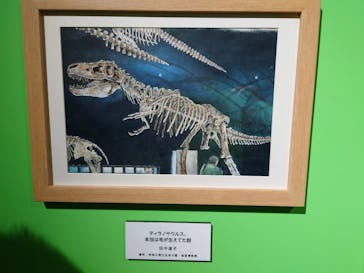 プレバト才能アリ展（福岡会場）に投稿された画像（2025/9/22）