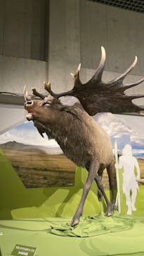 特別展「氷河期展 〜人類が見た4万年前の世界〜」（国立科学博物館）に投稿された画像（2025/9/22）