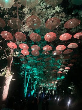 ムーミンバレーパークに投稿された画像（2025/9/22）