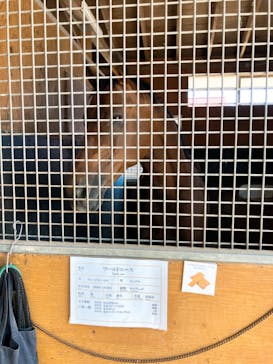 ノーザンホースパークに投稿された画像（2025/9/22）