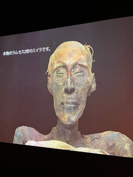 ACN ラムセス大王展 ファラオたちの黄金に投稿された画像（2025/9/22）