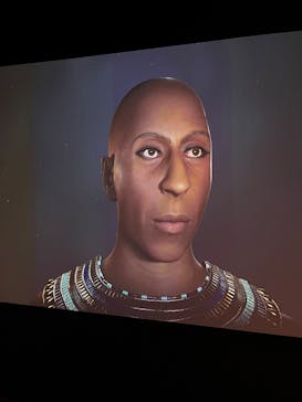 ACN ラムセス大王展 ファラオたちの黄金に投稿された画像（2025/9/22）