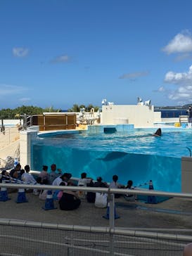沖縄美ら海水族館に投稿された画像（2025/9/22）