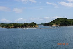 英虞湾島めぐりに投稿された画像（2025/9/22）