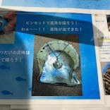 AQUARIUM × ART　atoa×神戸ポートタワーに投稿された画像（2025/9/23）