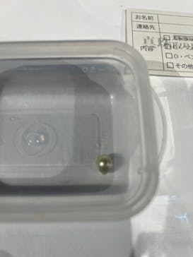 AQUARIUM × ART　atoa×神戸ポートタワーに投稿された画像（2025/9/22）