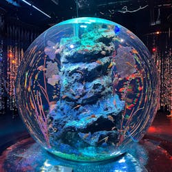 AQUARIUM × ART　atoa×神戸ポートタワーに投稿された画像（2025/9/22）