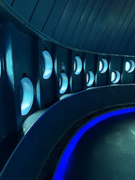 串本海中公園水族館に投稿された画像（2025/9/22）