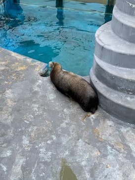 南知多ビーチランド＆南知多おもちゃ王国に投稿された画像（2025/9/23）