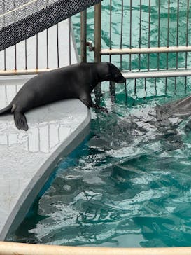 南知多ビーチランド＆南知多おもちゃ王国に投稿された画像（2025/9/23）