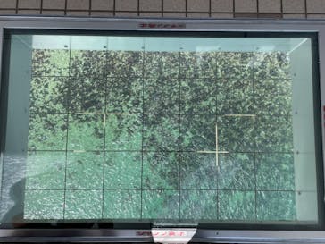 徳島県立 渦の道に投稿された画像（2025/9/23）