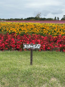 牧歌の里に投稿された画像（2025/9/23）