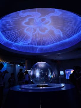 新江ノ島水族館に投稿された画像（2025/9/23）