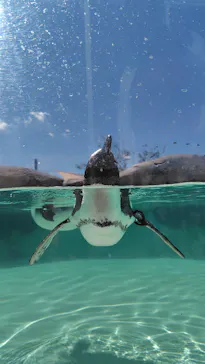 仙台うみの杜水族館に投稿された画像（2025/9/23）