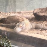 名古屋市東山動植物園に投稿された画像（2025/9/23）