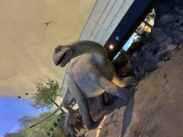 福井県立恐竜博物館に投稿された画像（2025/9/23）