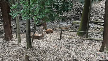こども動物自然公園（埼玉県公園緑地協会）に投稿された画像（2025/9/23）